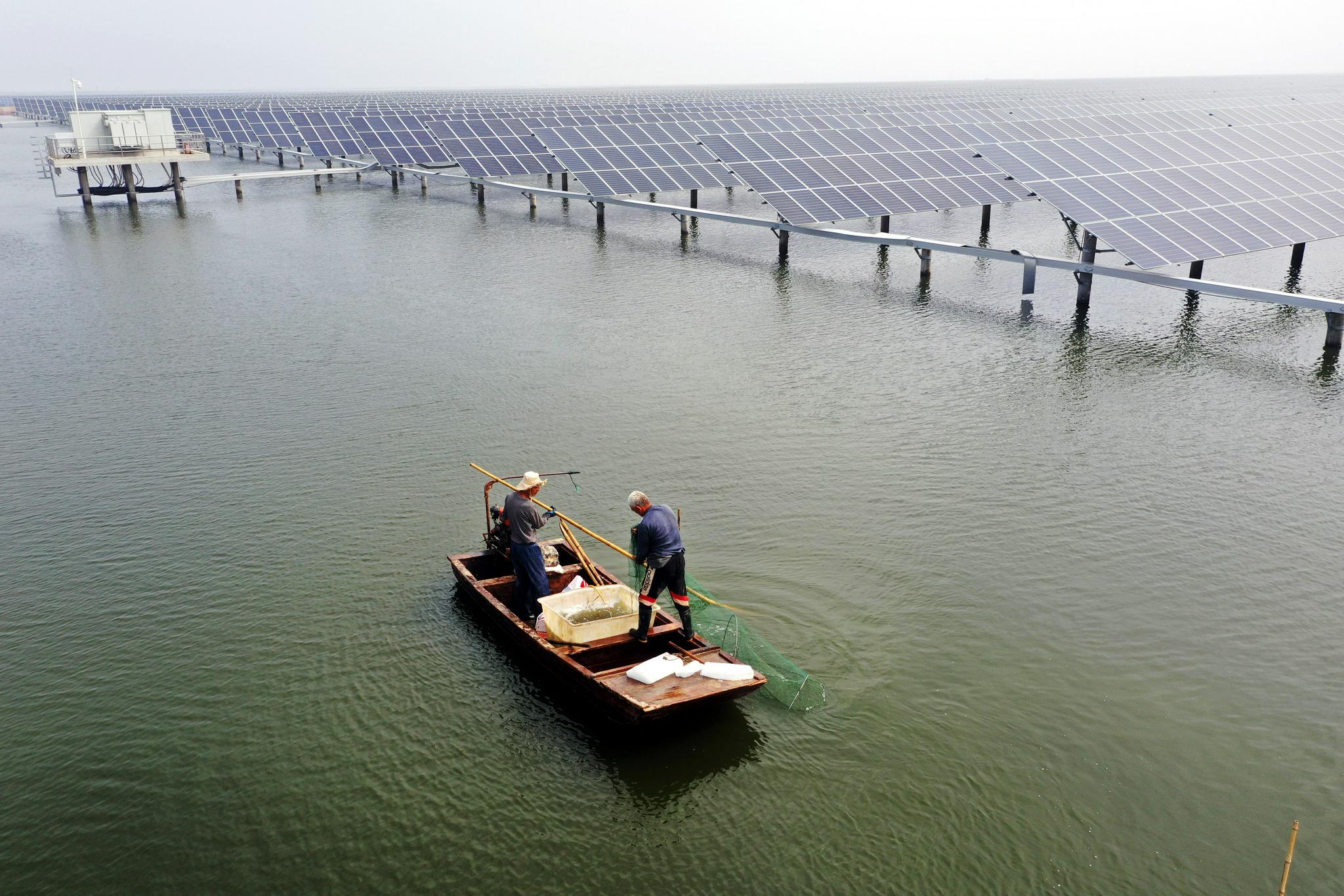养殖水产是什么东西(养殖水产是什么东西啊)