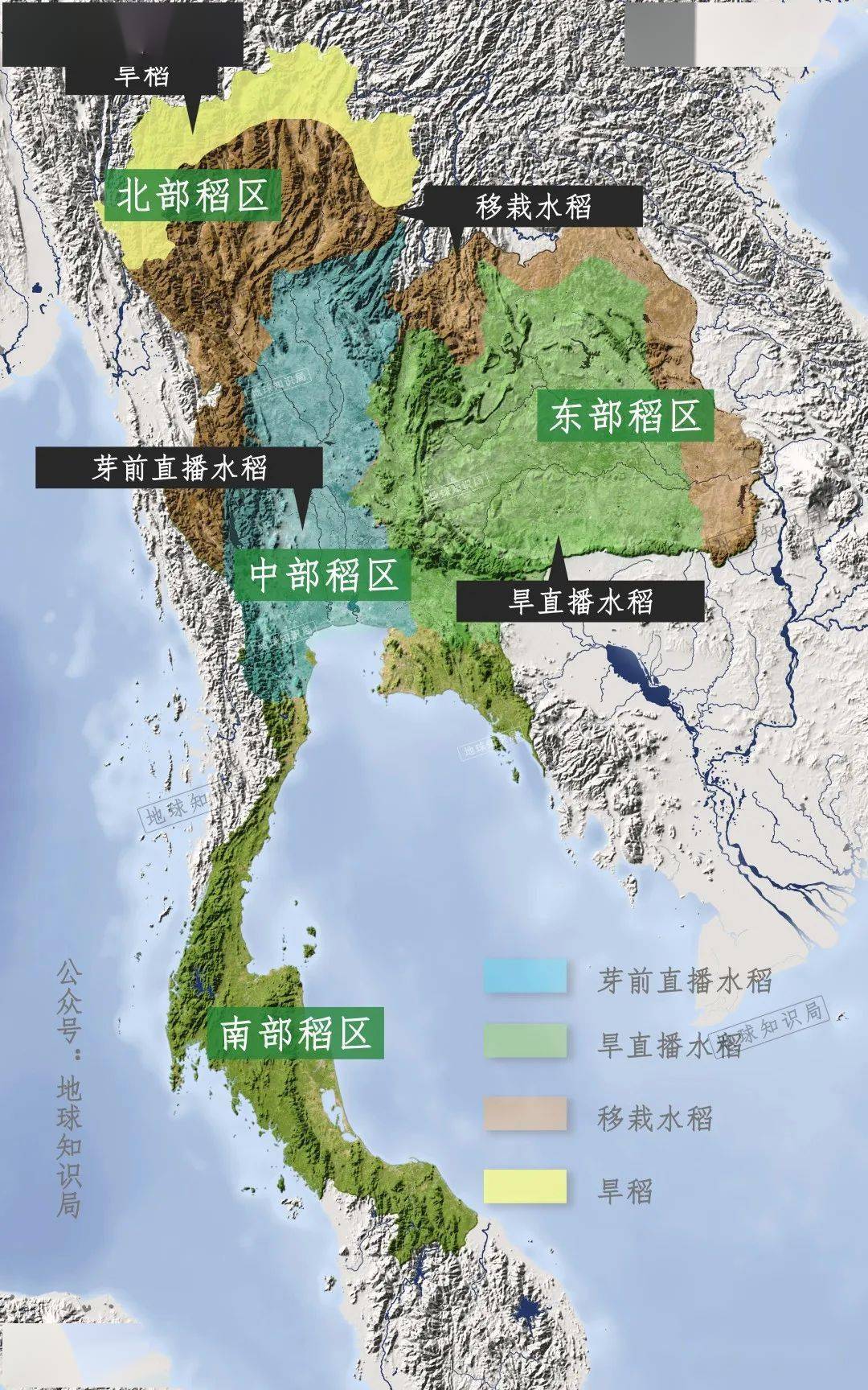 老挝水稻种植面积(老挝种植水稻的有利自然条件)