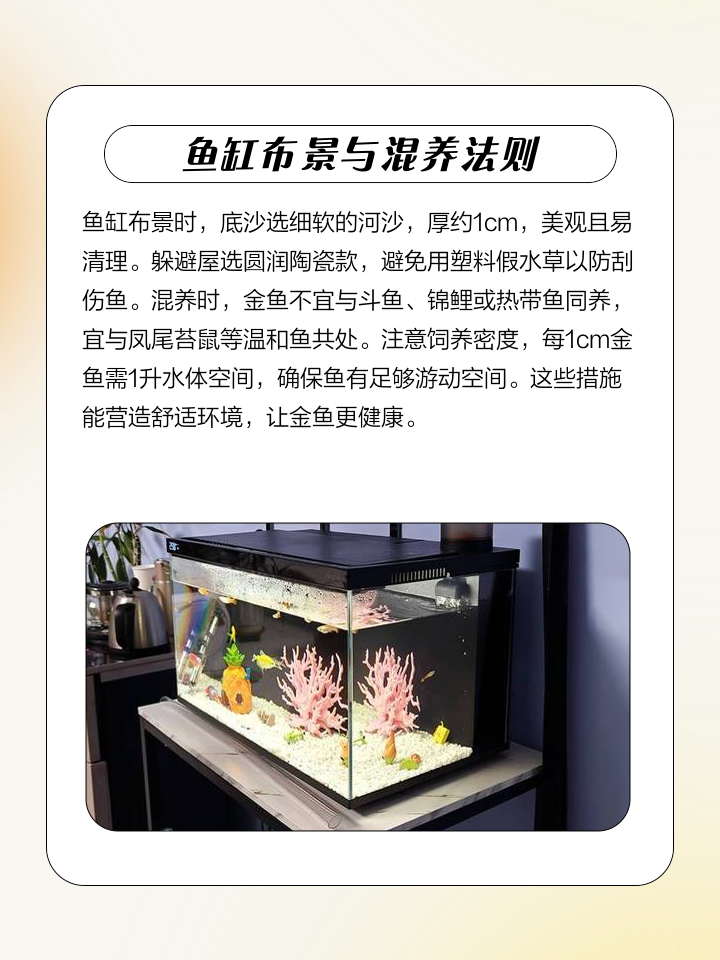 金鱼养殖技术(金鱼养殖技术免费下载)