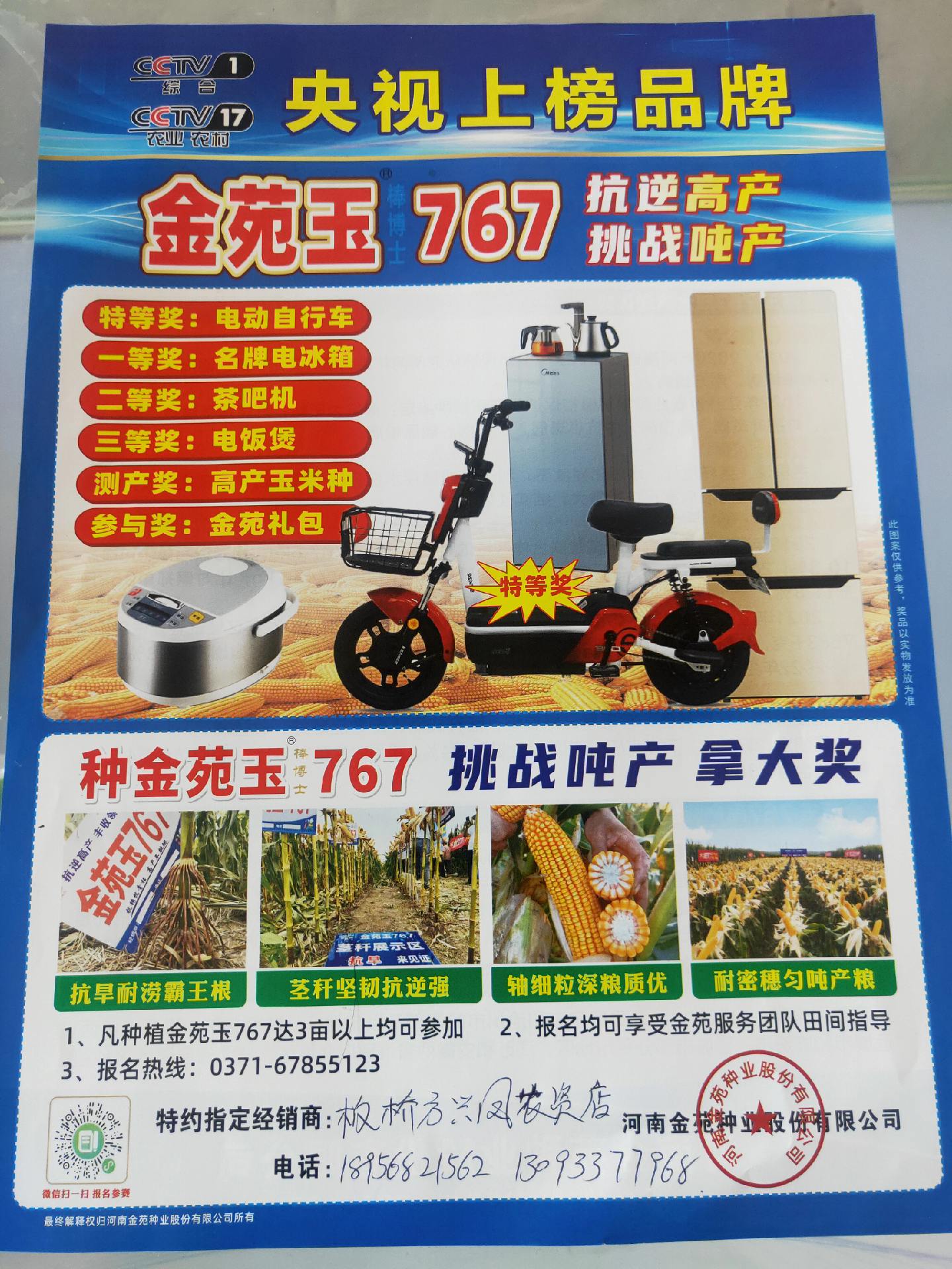 9683玉米种子简介(968玉米种子都有什么样的)