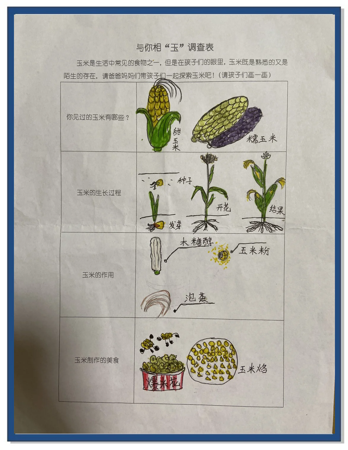 种玉米的过程100字(种玉米的过程作文150字)