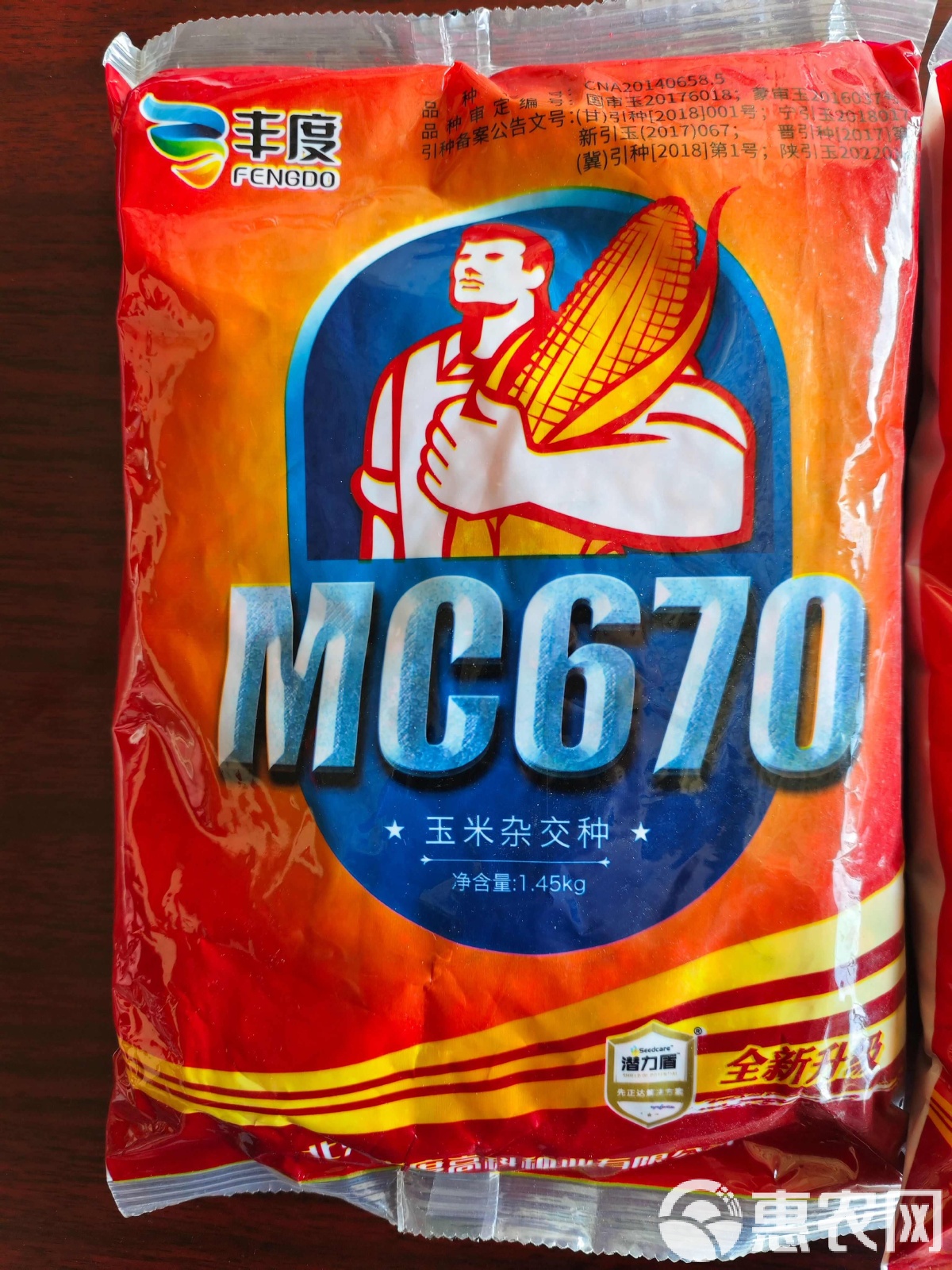 德单622玉米新品种(德单123玉米品种审定公告)