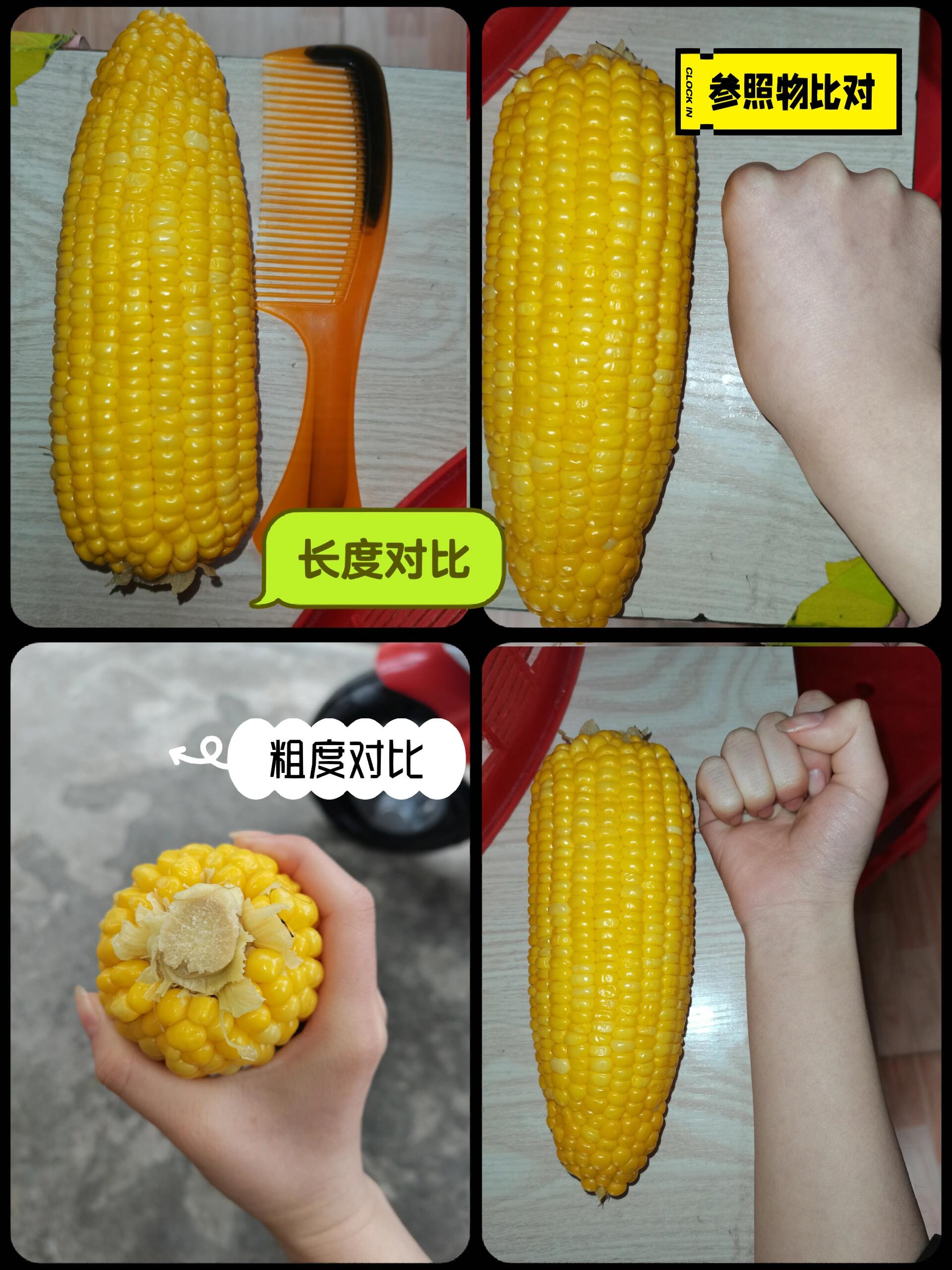 如何煮水果玉米(如何煮水果玉米才更甜)