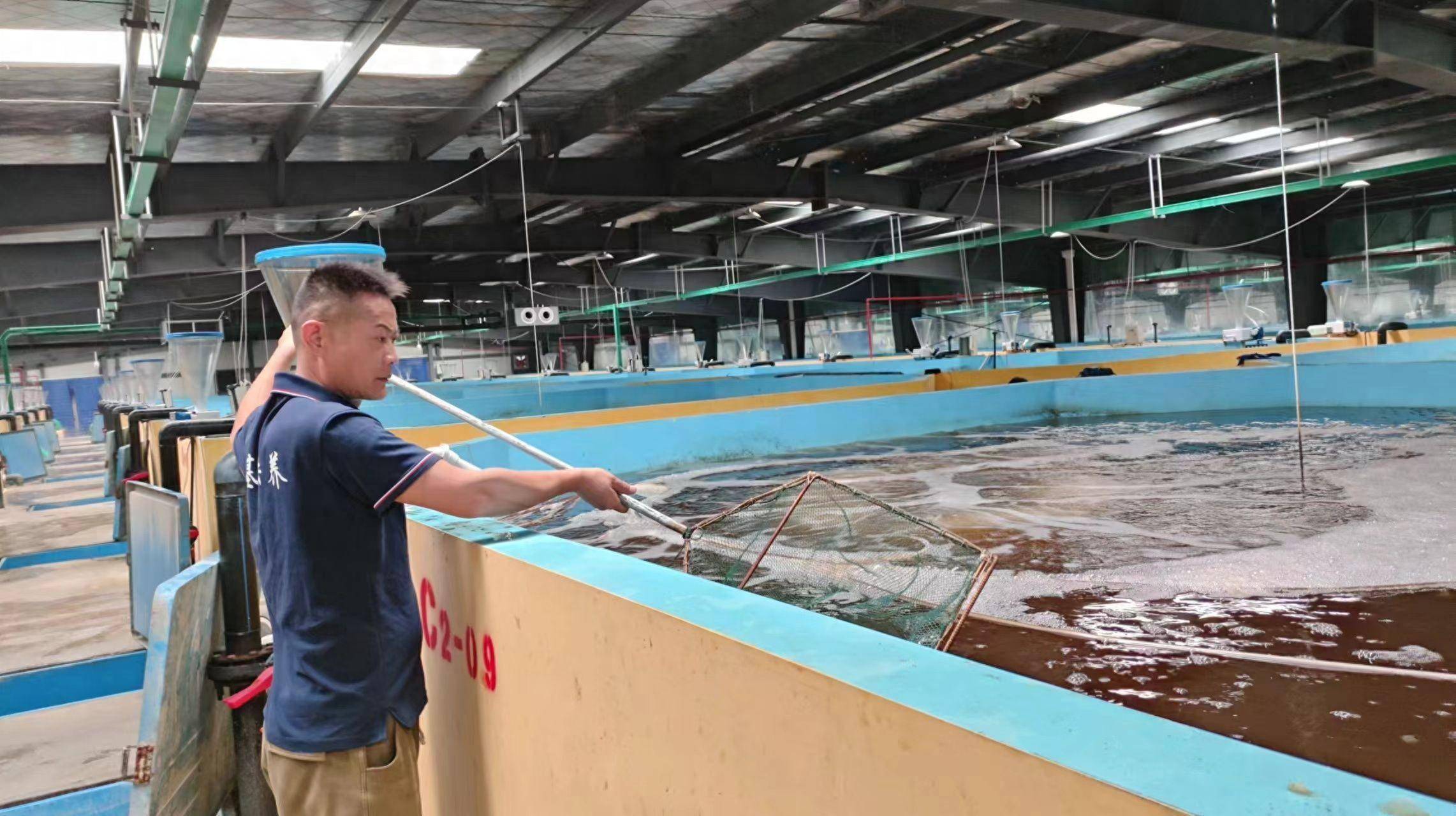 湖北水产养殖设备(湖北水产养殖基地的联系电话)