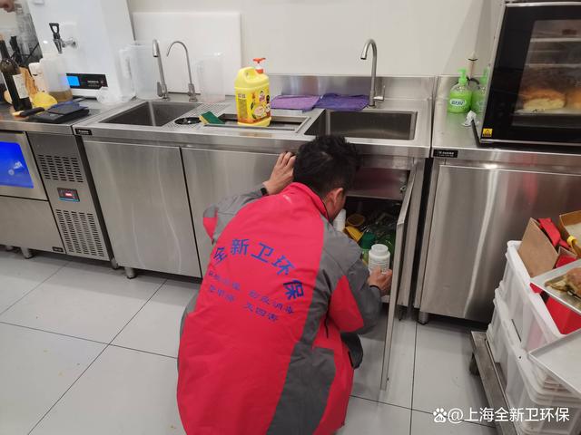 杀虫灭蟑螂服务(专业灭蟑螂服务公司)