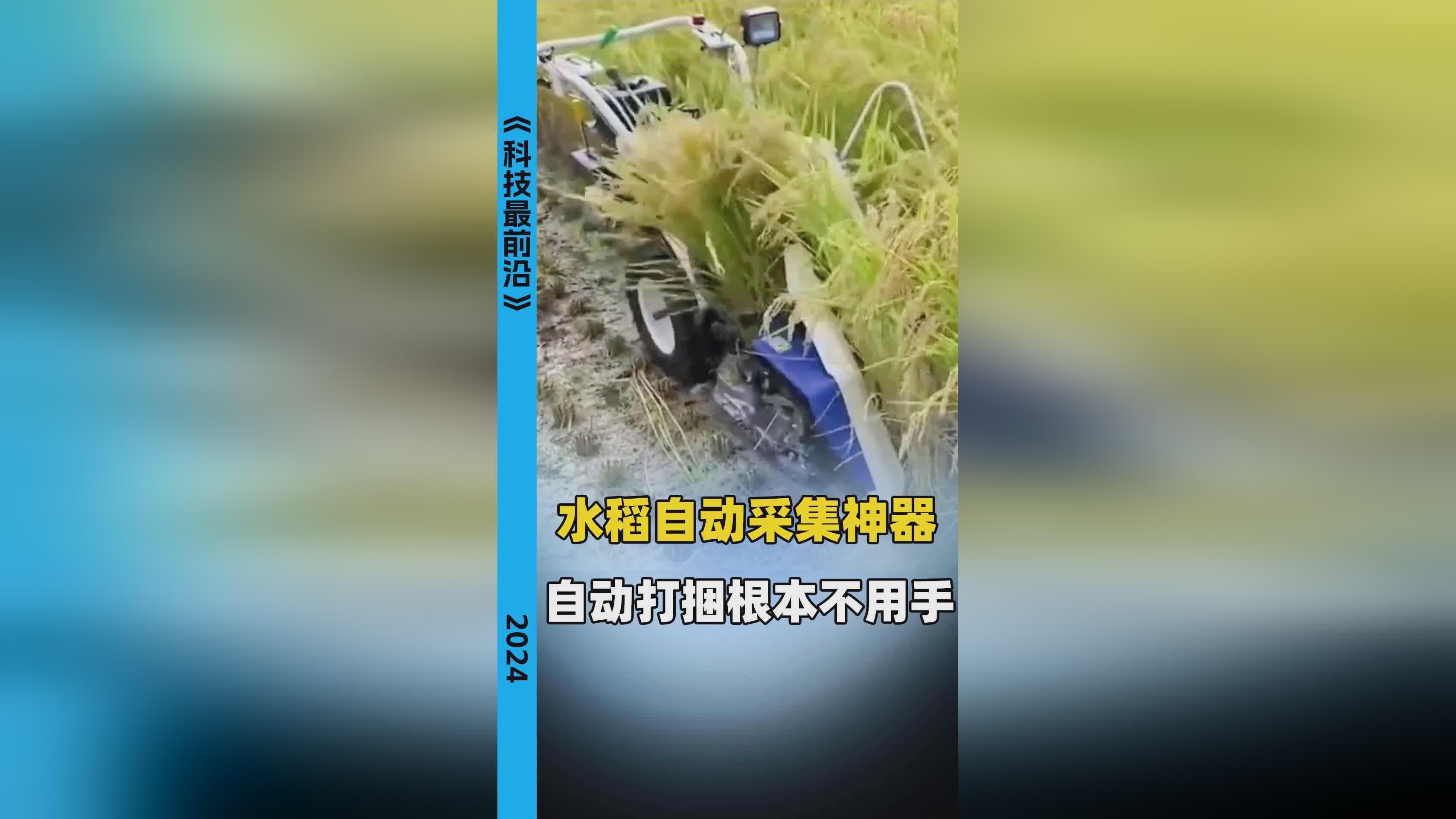 种水稻神器(种水稻的农具)