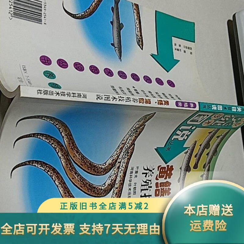 泥鳅养殖关键技术(泥鳅养殖关键技术精解)