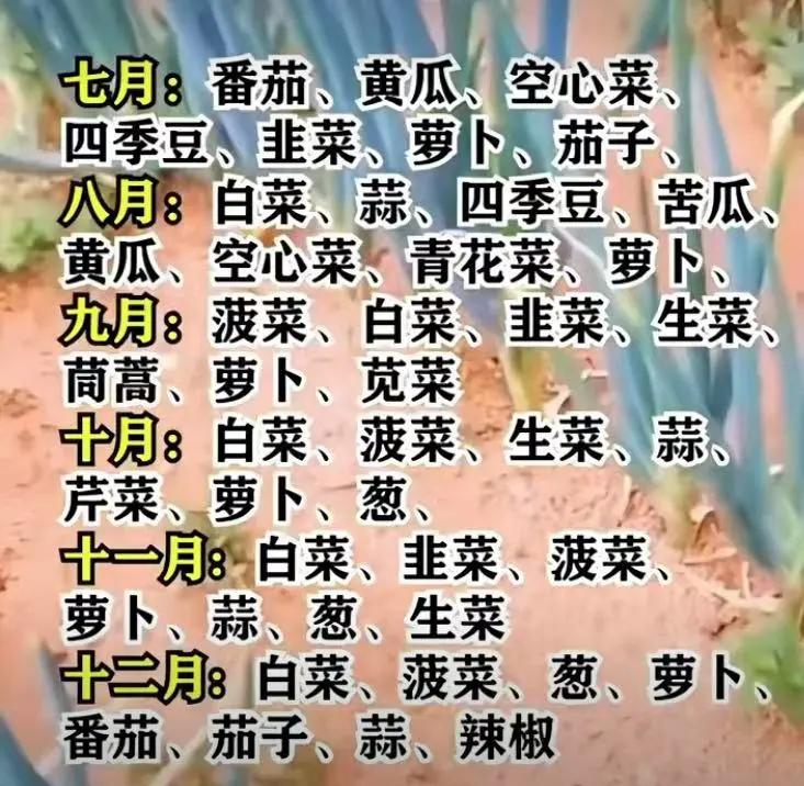 哈尔滨地区种植各种蔬菜时间(2021年哈尔滨地区啥时候播种)