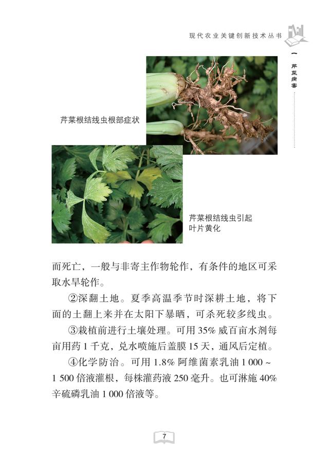 大葱病虫害防治方法(大葱病虫害防治方法有哪些)