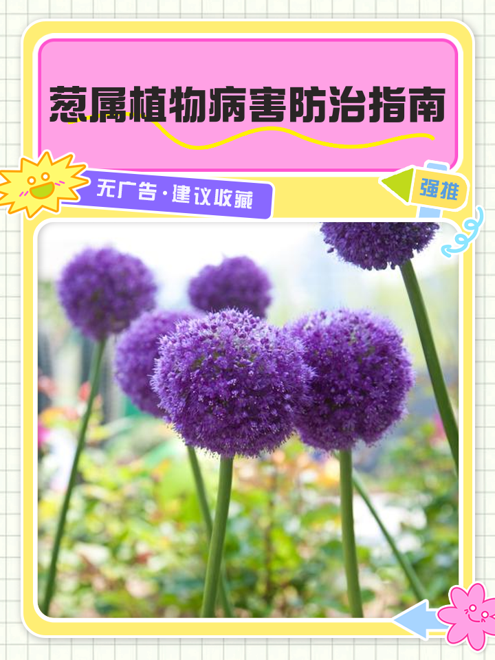 大葱病虫害防治方法(大葱病虫害防治方法有哪些)