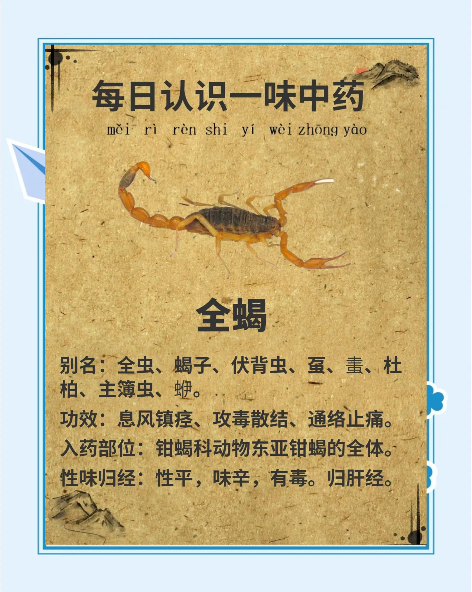 全蝎的养殖技术(全蝎养殖技术详细版)