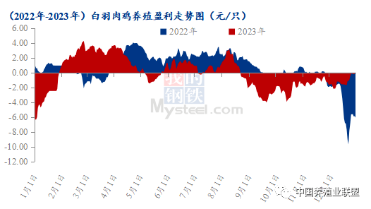 肉鸡养殖业行业情况(肉鸡养殖行业未来前景怎样)