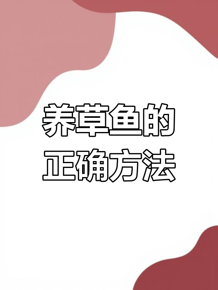 草鱼养殖技术(草鱼养殖技术与鱼塘管理)