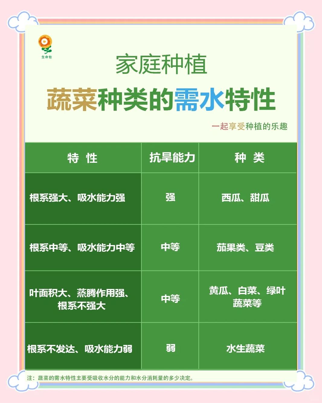 水上栽培蔬菜的技术方法(让小陈赚了大钱的水上种菜方式)
