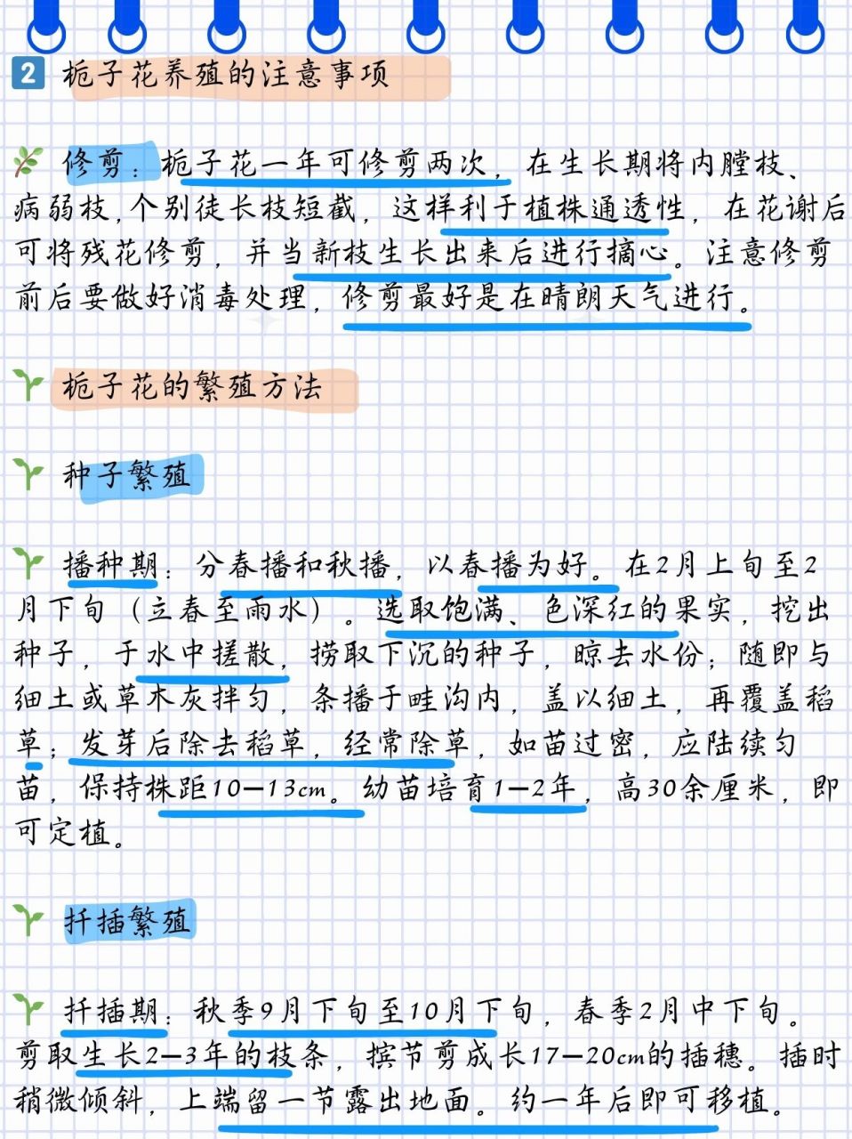 春季栀子花的养殖方法(春季栀子花的养殖方法视频)