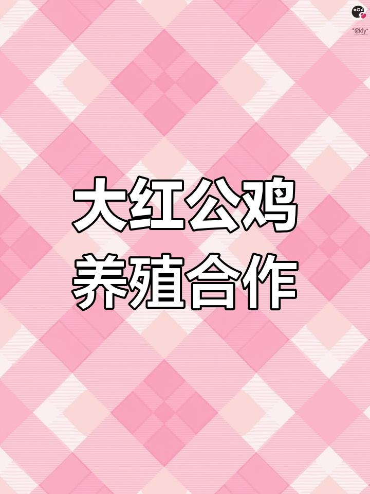 公鸡怎么养(公鸡怎么养长的快)