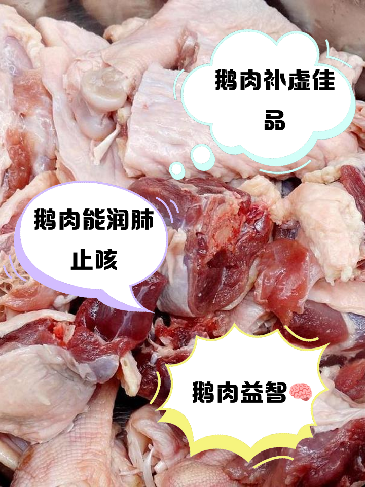 肉鹅的养殖技术(肉鹅养殖技术大全)