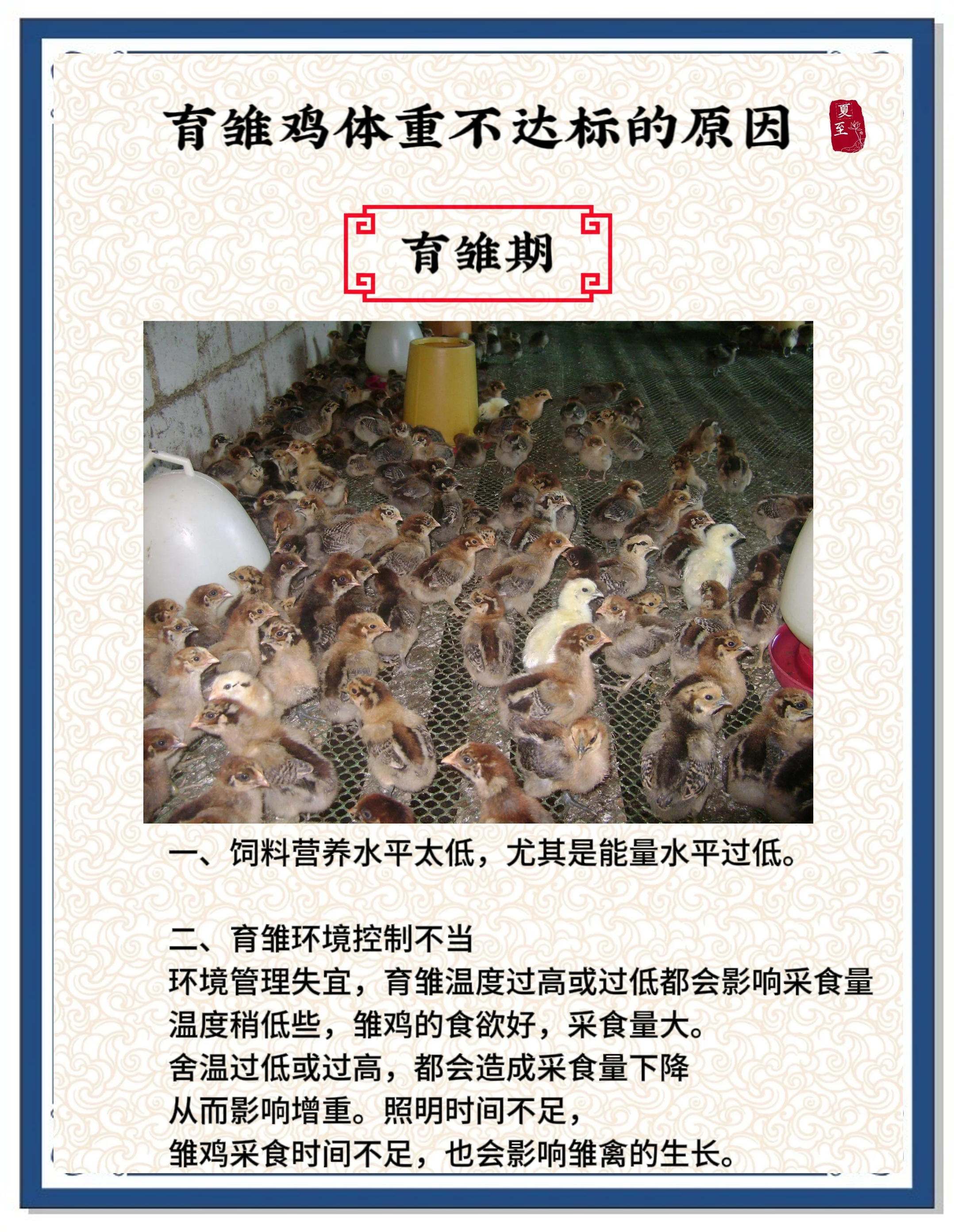 肉鸡饲养,幼鸡怎么养殖,,1.24,2,低,地域词的简单介绍