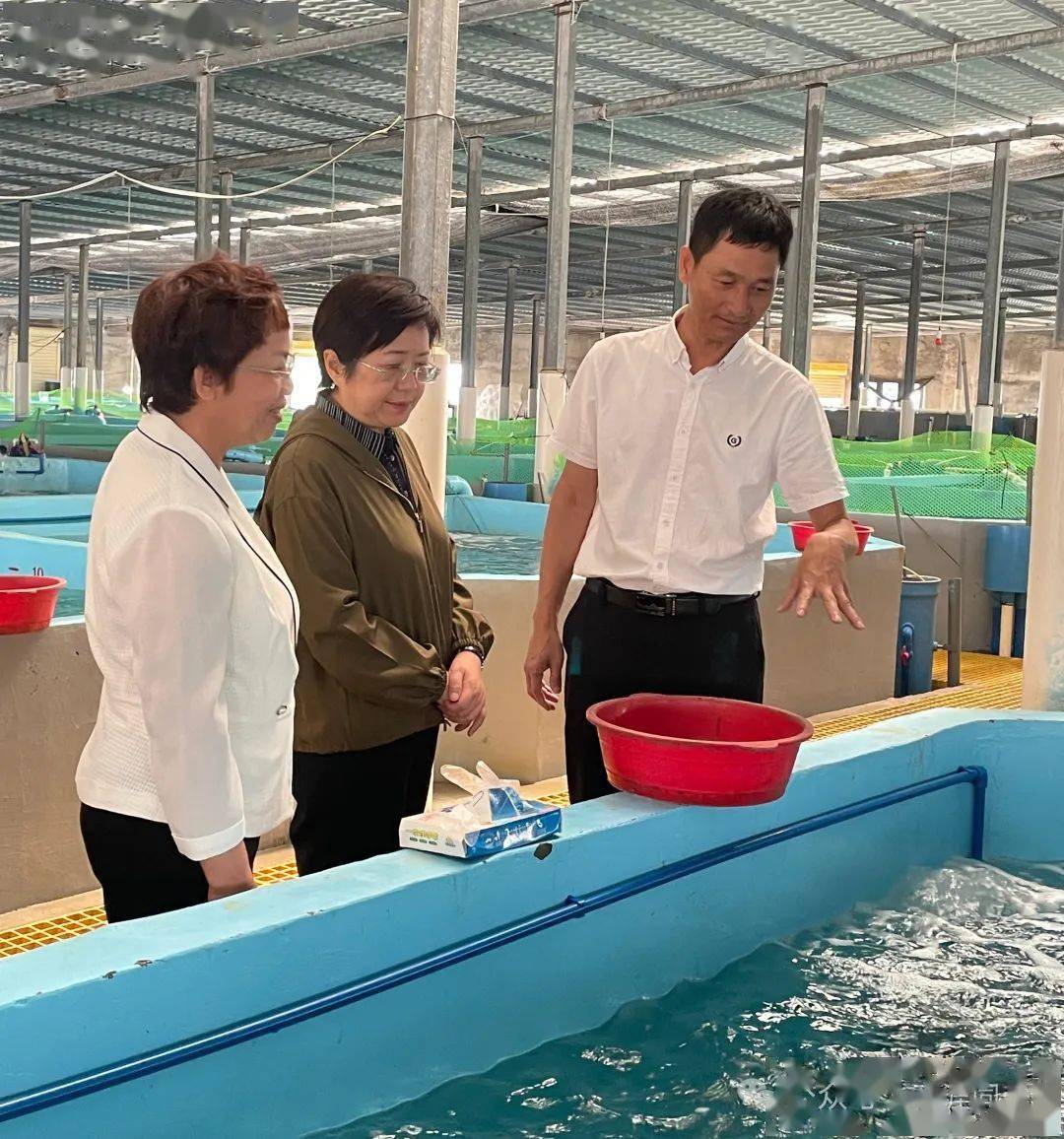 海南水产养殖公司(海南水产养殖有限公司)