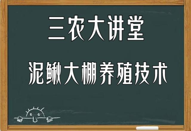 大棚养泥鳅技术(大棚养泥鳅技术要点)