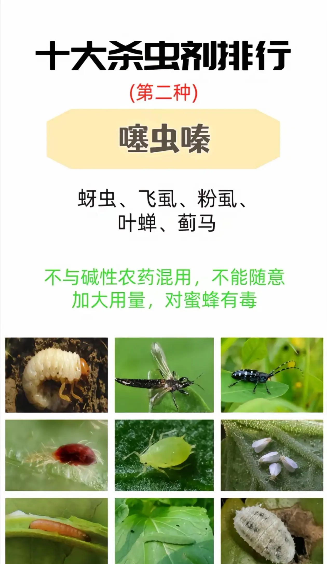 杀虫方(杀虫方法大全家家庭杀虫)