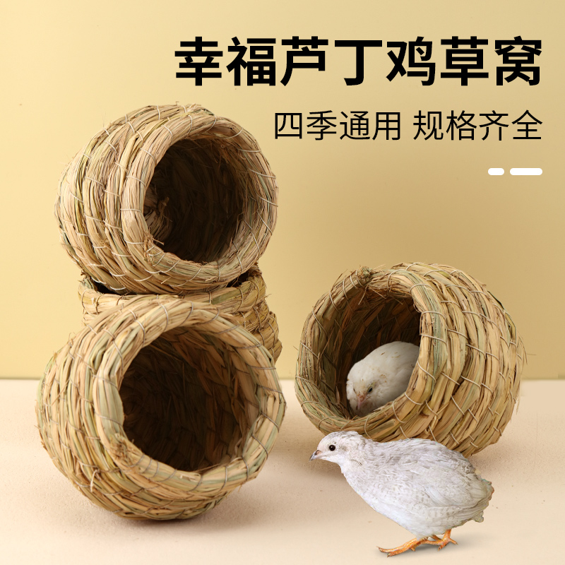 芦丁鸡饲养用品(芦丁鸡饲养用品有哪些)