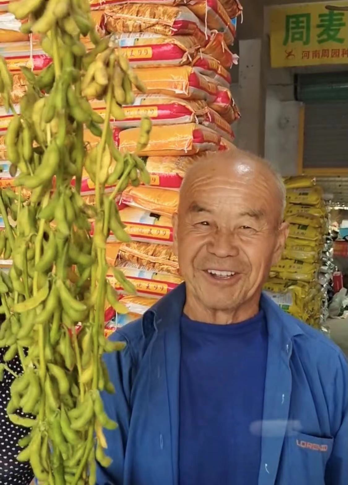 河南种啥大豆可以高产(河南种啥大豆可以高产呢)