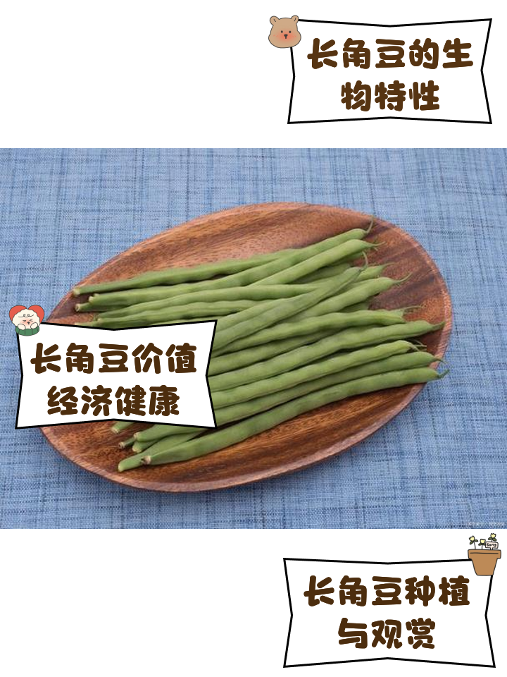 长豆角用不用焯水(长豆角焯水多长时间?用切段焯水吗)