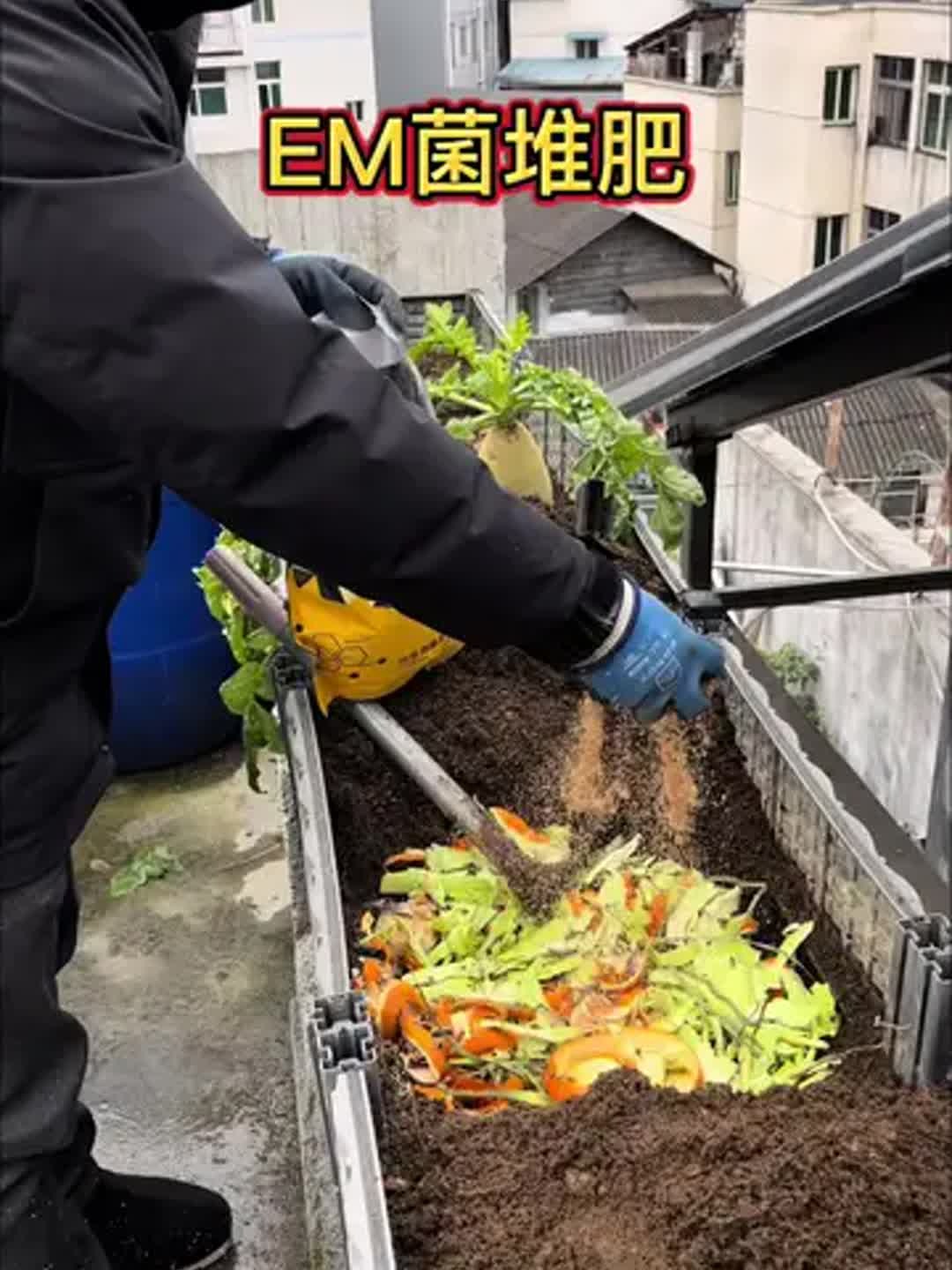 楼顶种菜怎么施肥(楼顶种菜施肥会破坏混凝土吗)