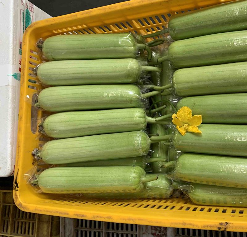 白玉丝瓜好吃吗(白玉丝瓜的功效与作用)