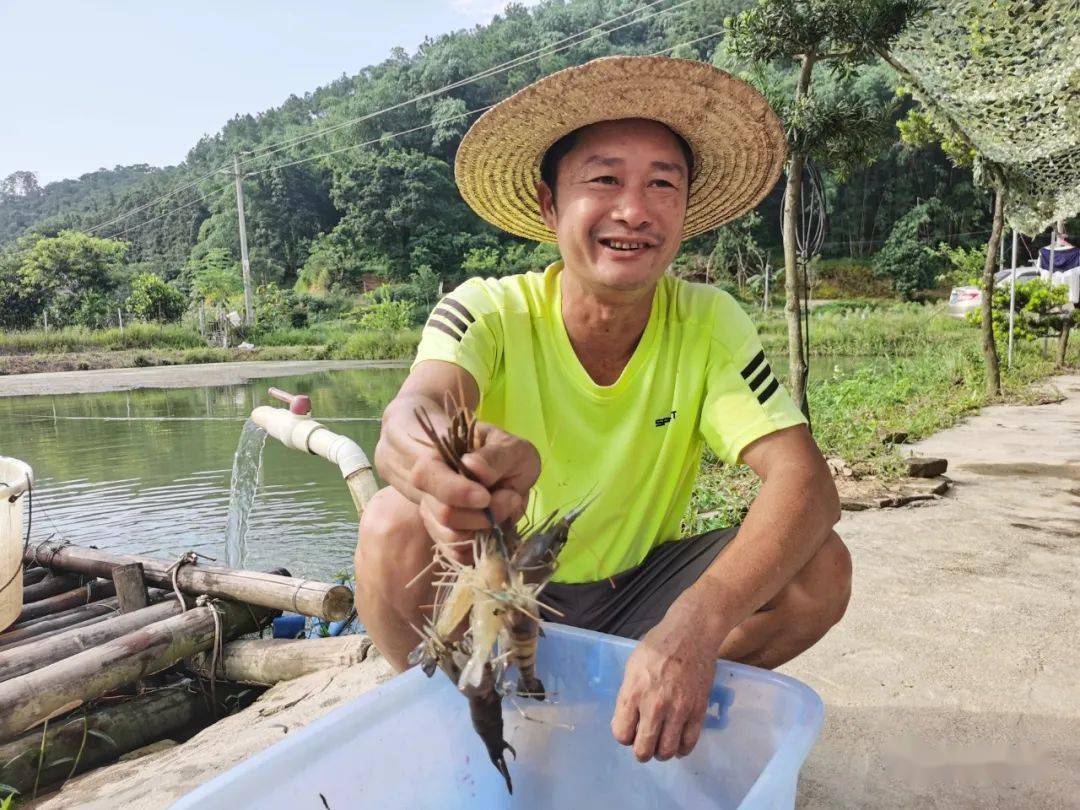 淡水龙虾养殖新技术(养殖淡水龙虾应该注意哪些问题?)