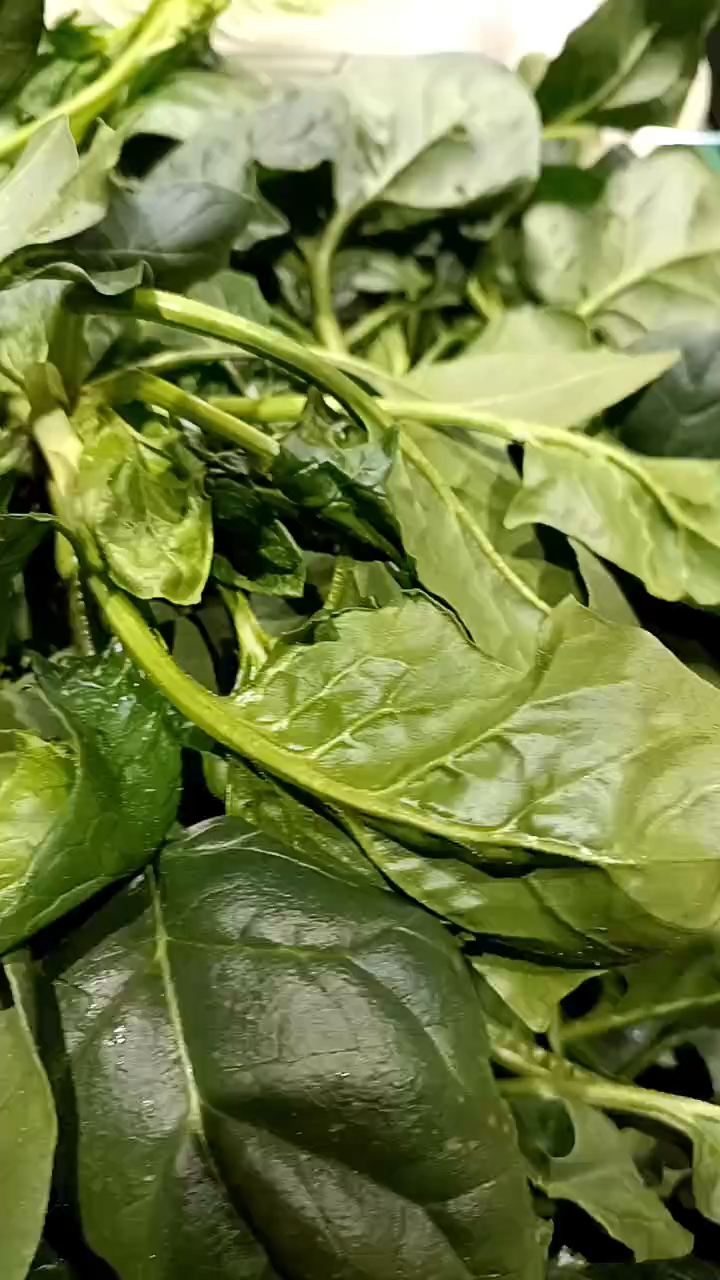 新鲜蔬菜(新鲜蔬菜储存过久腐烂的蔬菜以及放置过久的煮熟蔬菜)