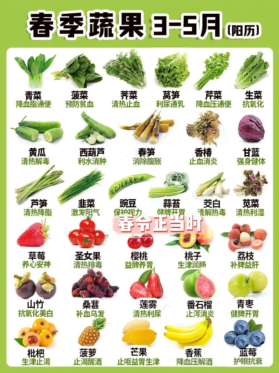 湖南四季蔬菜种植表(湖南四季蔬菜种植表格图片)
