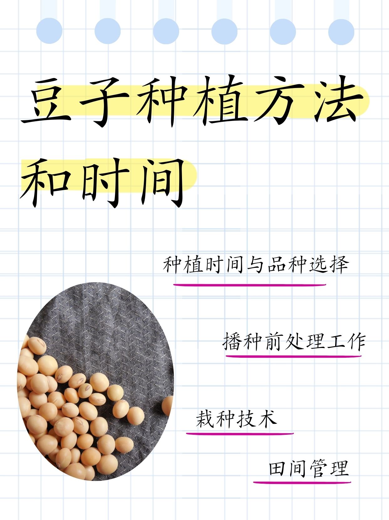 大豆种植区域图(巴西大豆种植区域图)