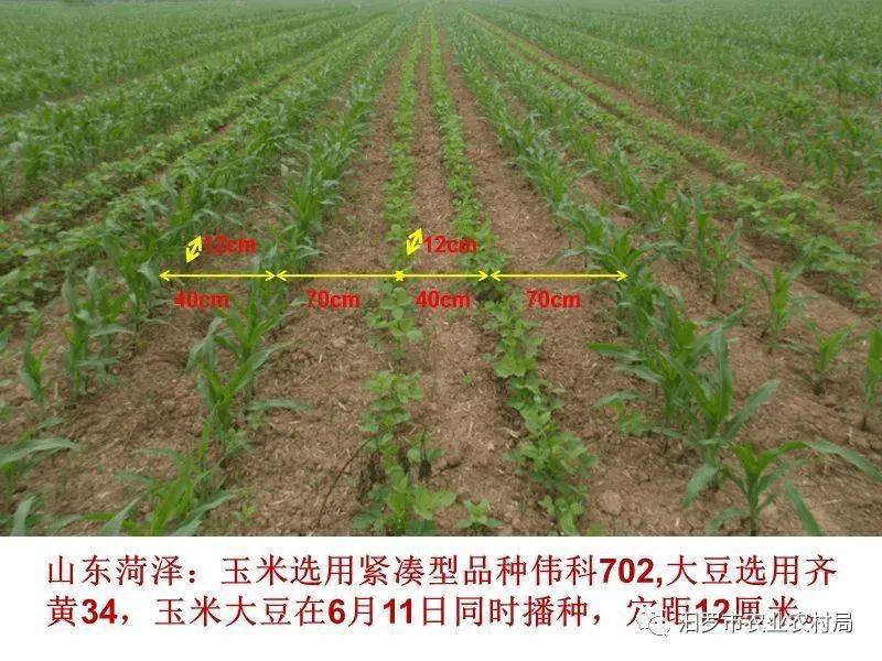 大豆种植区域图(巴西大豆种植区域图)