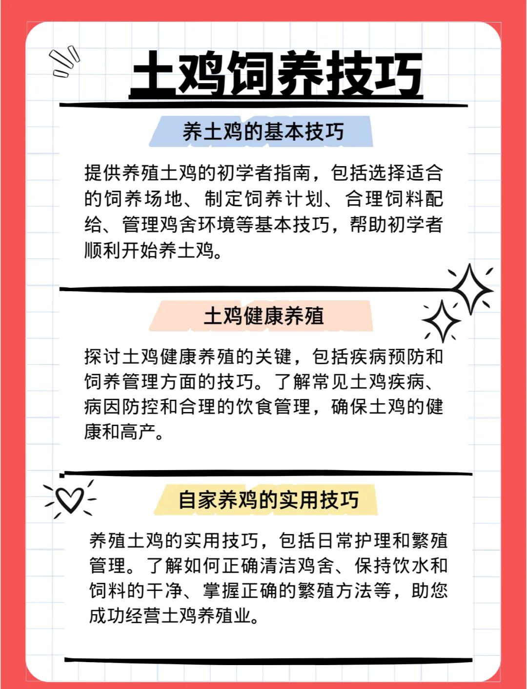 该怎样养鸡(如何养鸡才能养好视频教程)