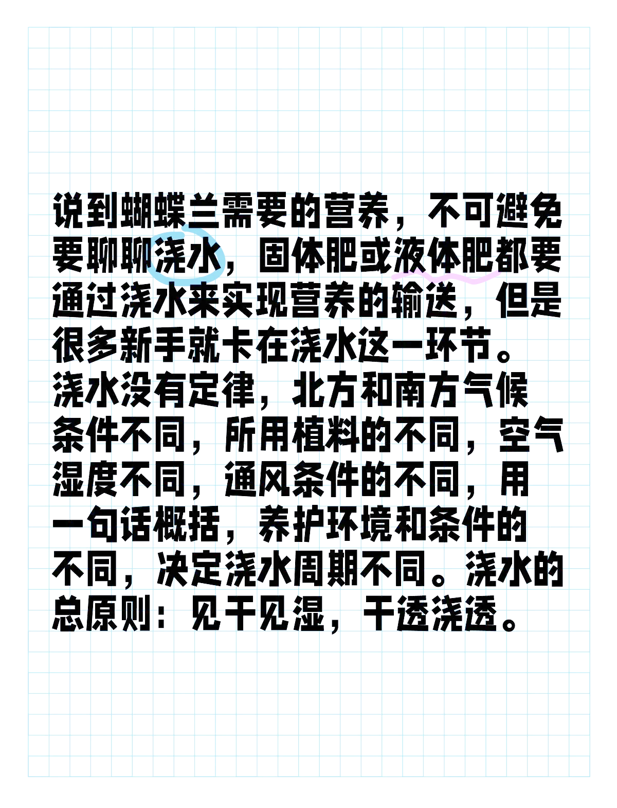 蝴蝶兰的施肥方法(蝴蝶兰怎么施肥灌根还是喷叶?)
