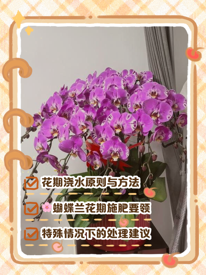 蝴蝶兰的施肥方法(蝴蝶兰怎么施肥灌根还是喷叶?)