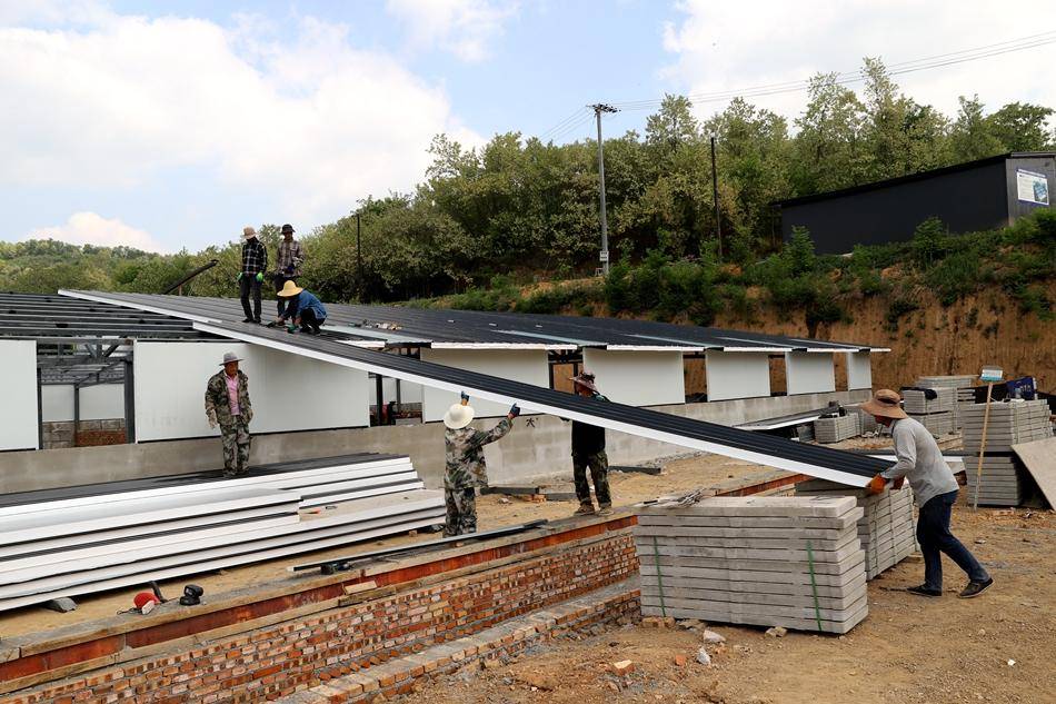 农村小型猪舍建设(农村小型猪舍的国家政策法规)