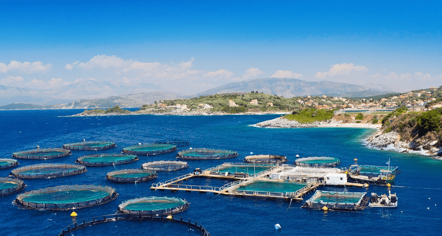 海水养殖前景(海水养殖前景预测)