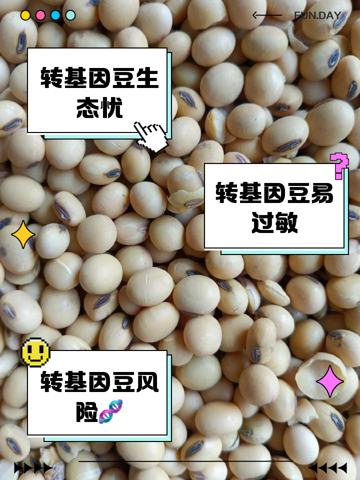 中国种转基因大豆吗(中国批准种植转基因大豆品种)