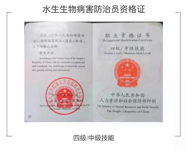 虫害控制培训证书(虫害防治员证书哪里考)