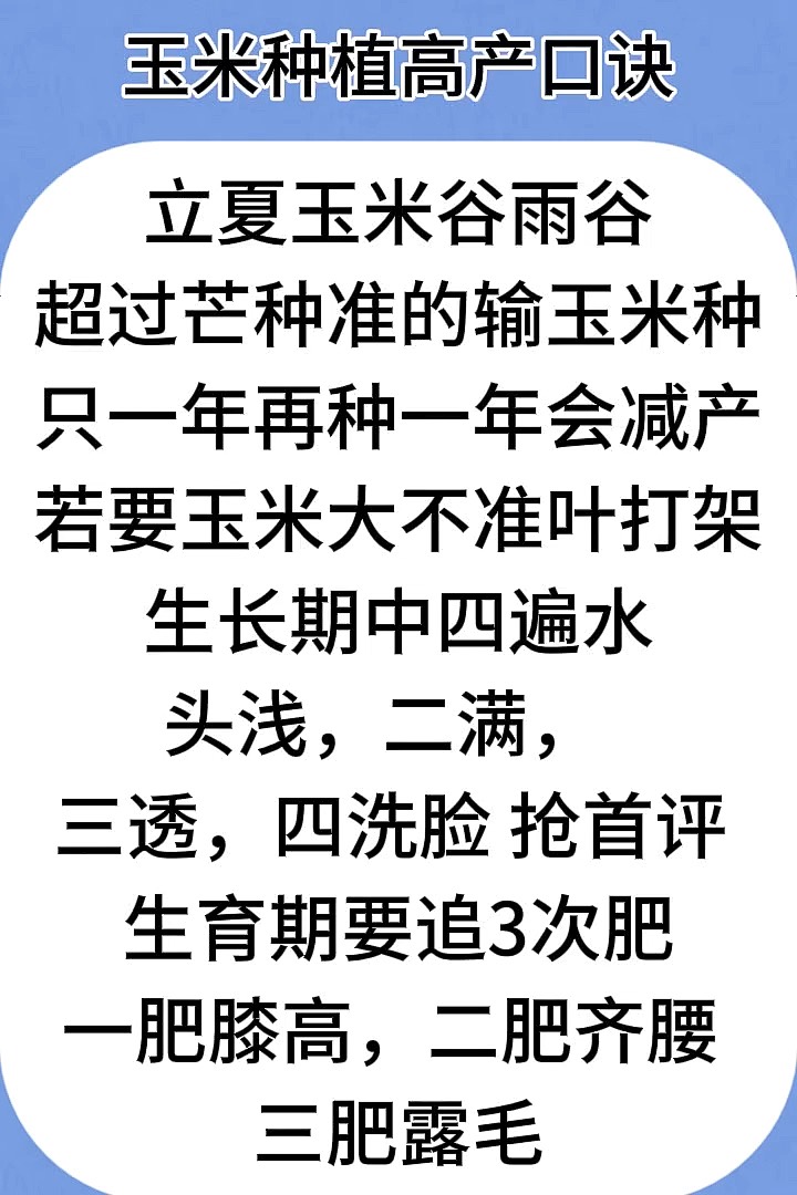 玉米怎样种植高产(玉米怎样种植高产量)