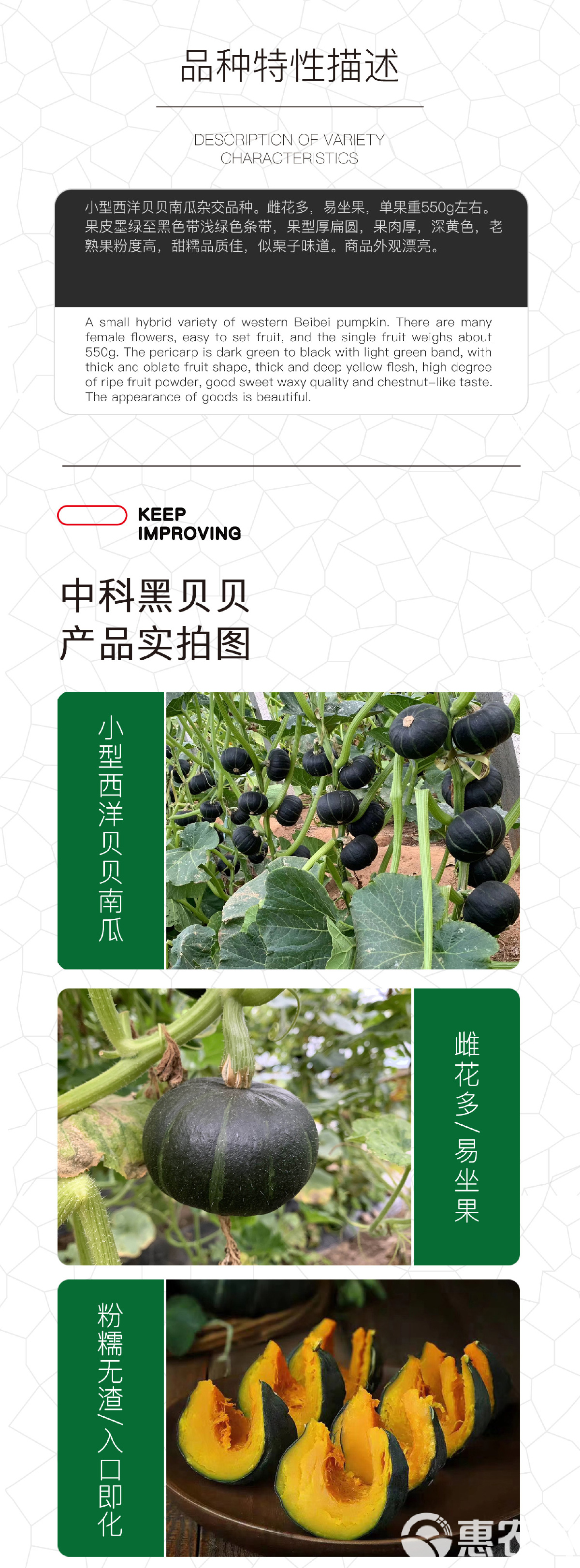 蔬菜种子新品种(蔬菜种子目录大全)