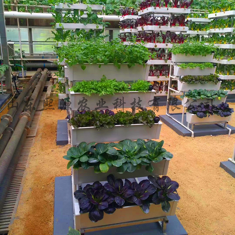 室内无土蔬菜种植方法(室内无土蔬菜种植方法图片)