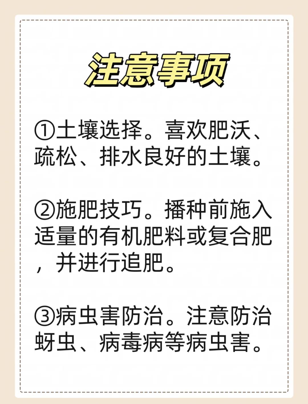 湖南春季土豆的种植时间(湖南春季土豆的种植时间是多少)