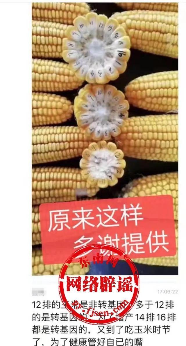 杂交玉米和转基因哪哪个好(杂交玉米和转基因玉米有什么区别)