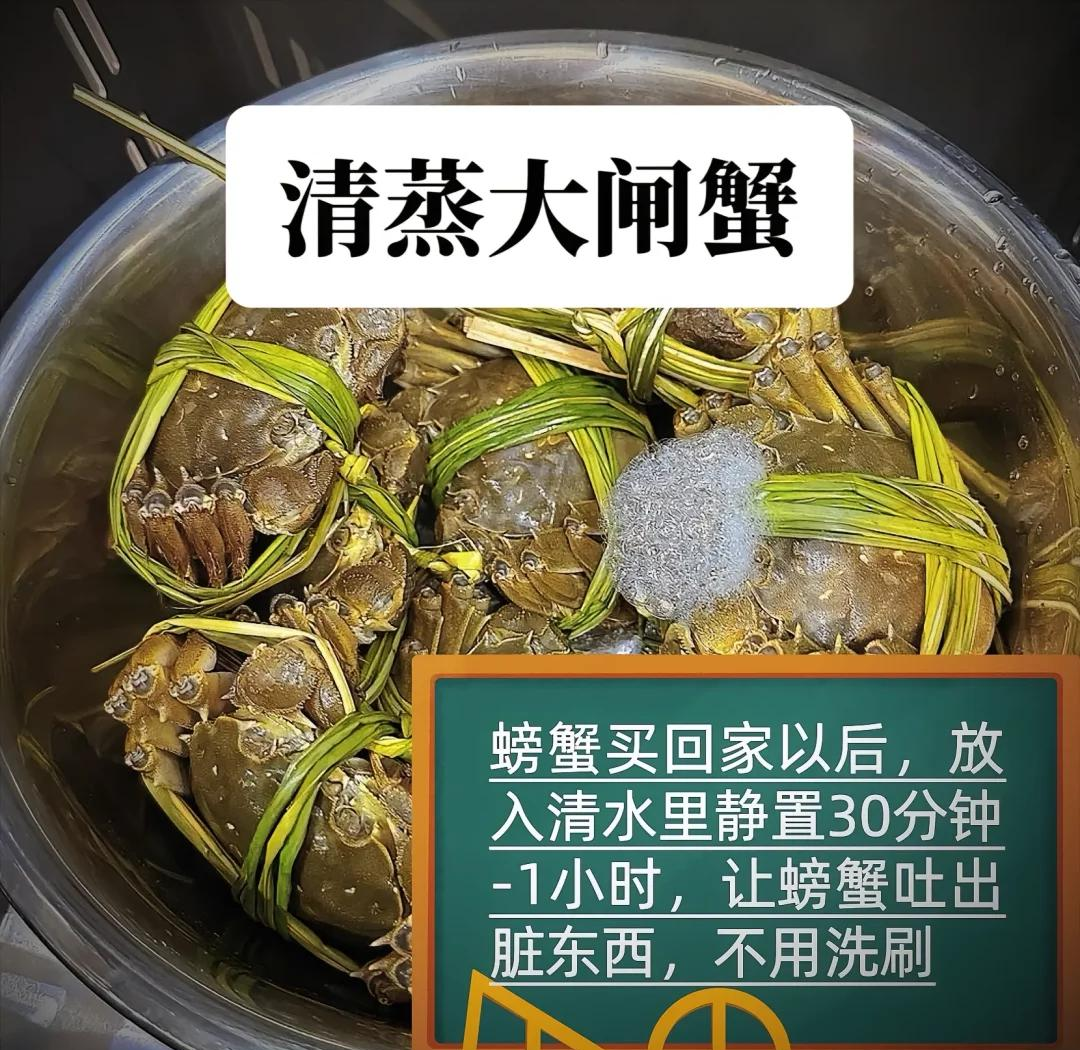 大闸蟹养殖方法(大闸蟹养殖方法图解)