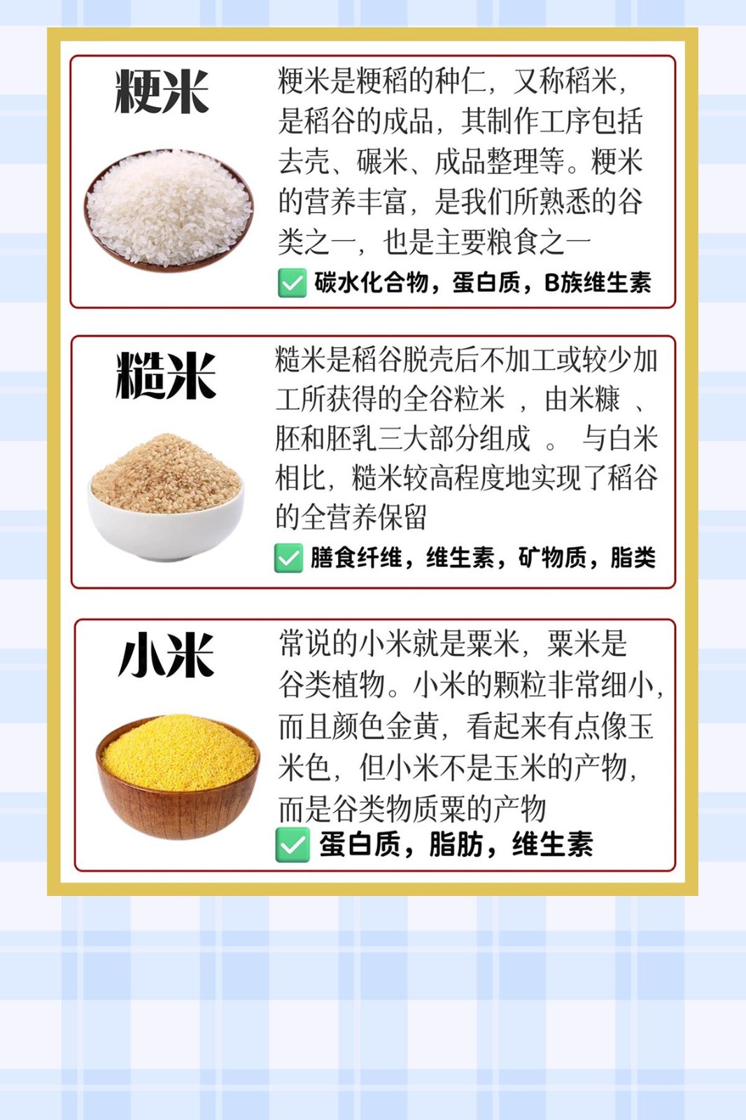 稻米怎么种(我的世界稻米怎么种)