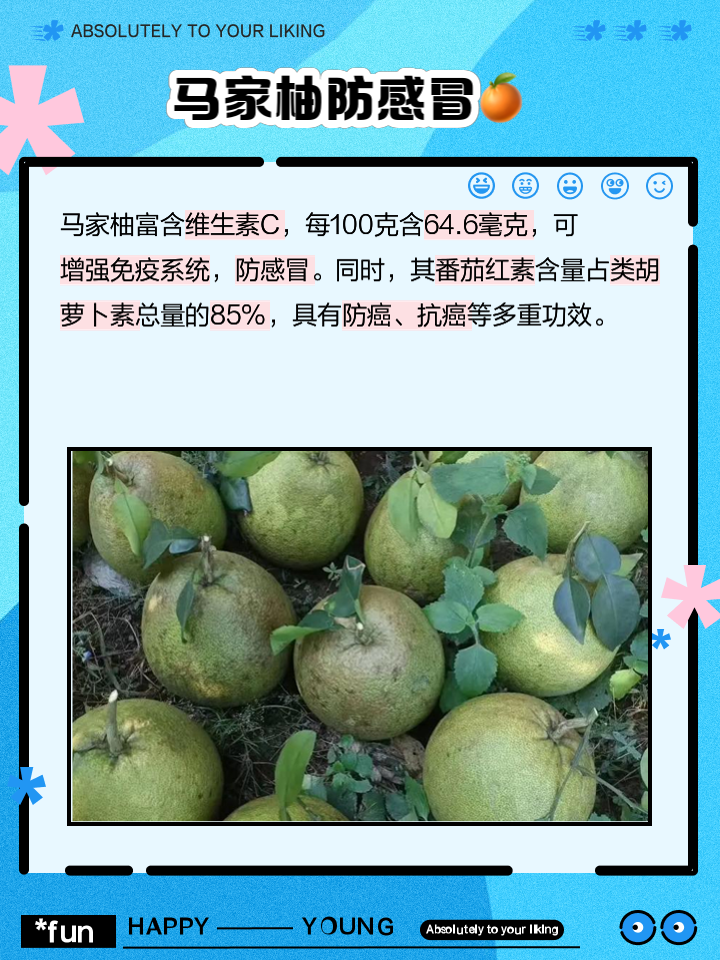 关于马家柚什么时候施肥最好施什么肥的信息